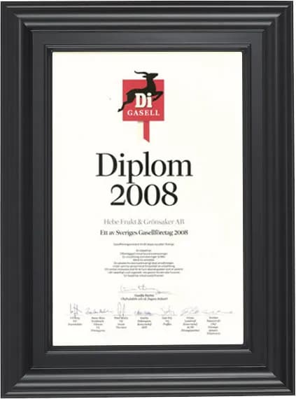 Diplom: Di Gasell 2008