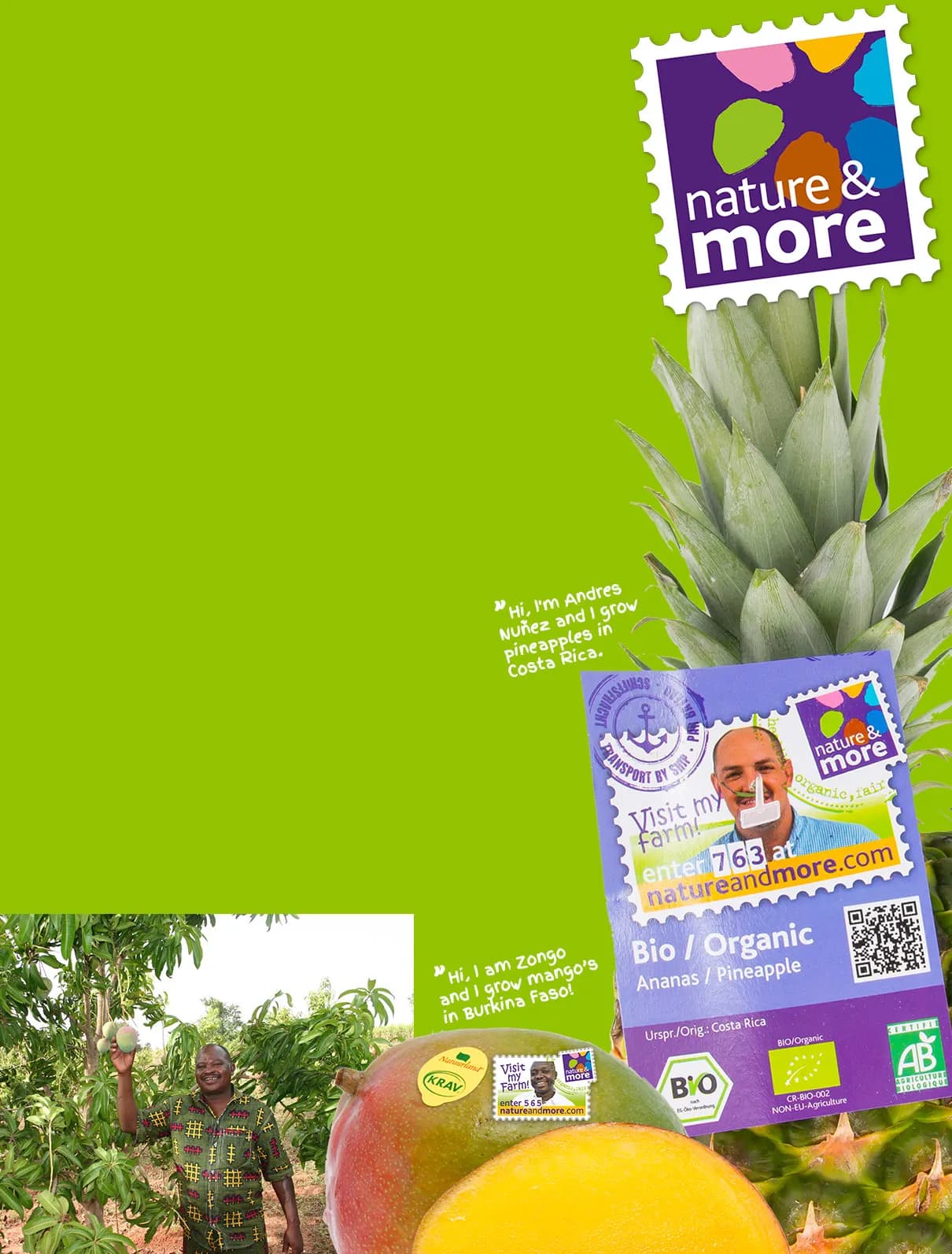 Nature & More — ekologisk ananas och mango med odlarens stämpel och spårbarhetskod