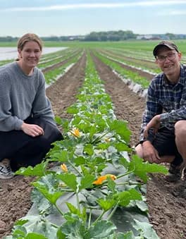 Pernilla och Andreas på huk vid zucchiniraderna
