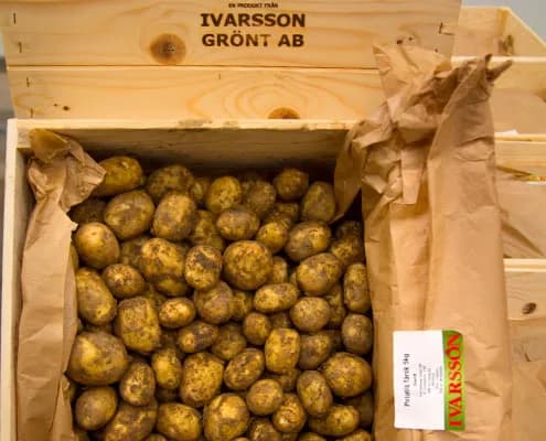 Färskpotatis i trälåda från Ivarsson Grönt AB