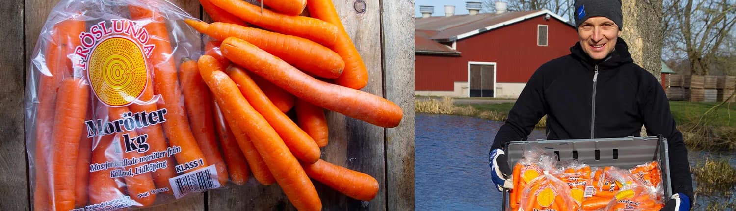 Mossjordsodlade morötter i Fröslundas påse och en av bröderna Ivarsson med en låda packade morötter vid gården
