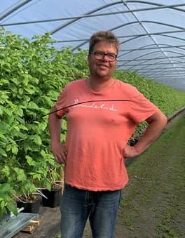 Patrik Severinsson bland hallonplantorna i tunnelodlingen