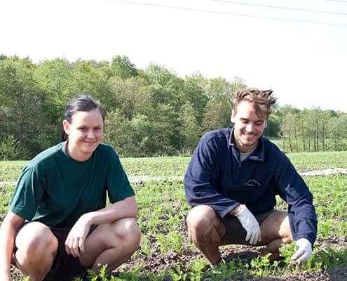 Camilla och Mattias Johansson i odlingen