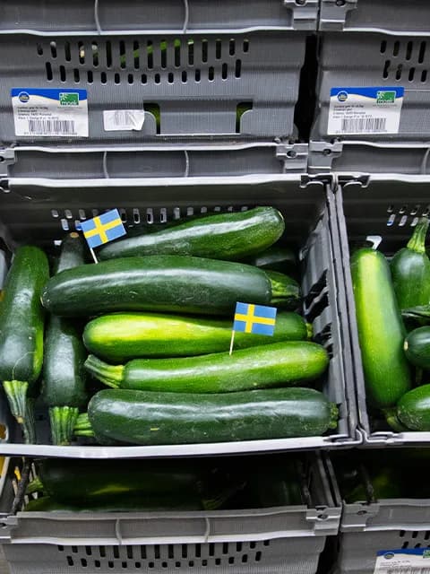 Zucchini från Mariestad packad i returlådor
