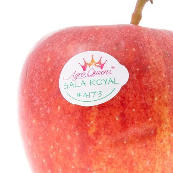 Agro Queens