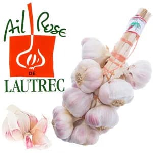 Ail Rose de Lautrec