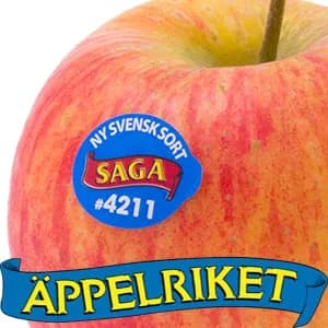 Äppelriket