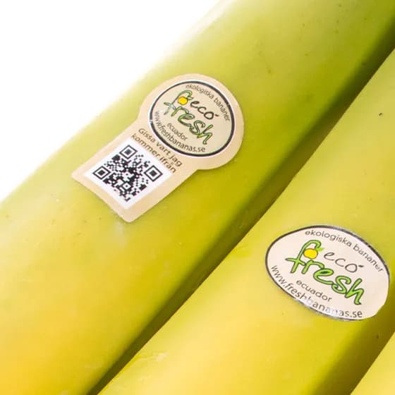 Eco Fresh