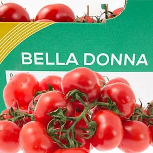 Bella Donna kvisttomater