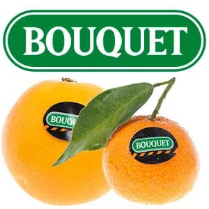 Bouquet Citrus