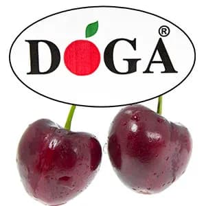 Doga