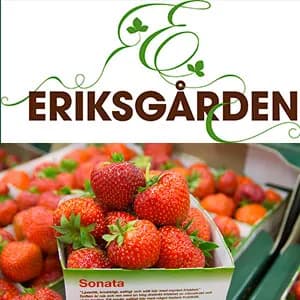Eriksgården