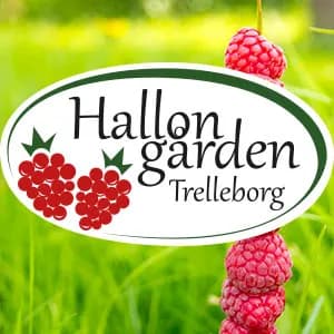 Hallongården