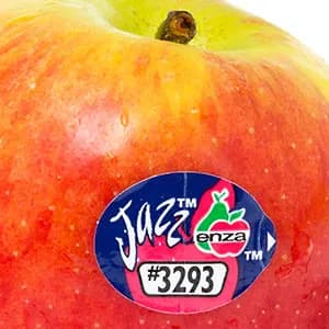JAZZ