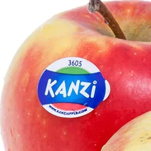 Kanzi