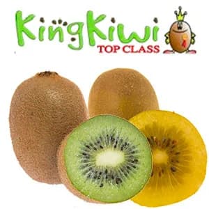 King Kiwi
