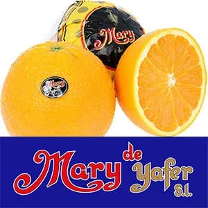 Mary