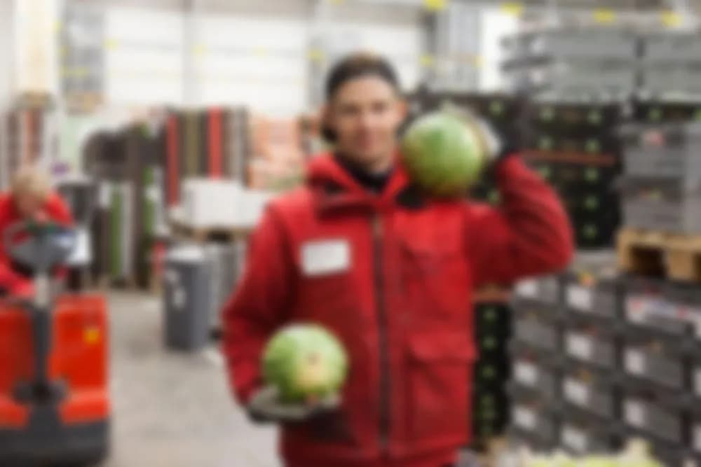 Medarbetare på Kinnefrukts lager bland frukt- och gröntlådor