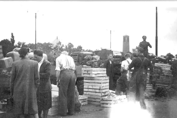 Människor handlar bland staplade trälådor med grönsaker på Heden i Göteborg 1948