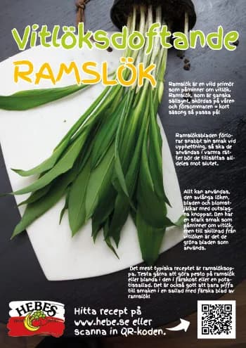 Butiksskylt: Ramslök
