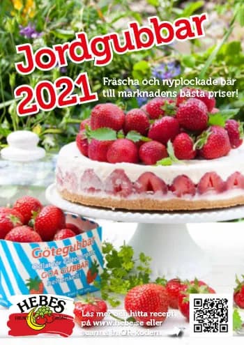 Folder: Hebes jordgubbskoncept med fräscha, nyplockade bär