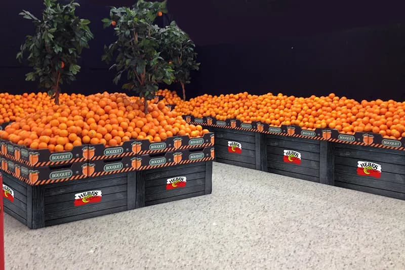Citrustorg med Bouquet-clementiner och små apelsinträd
